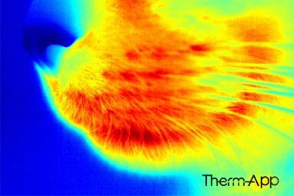 Therm-APP® TH