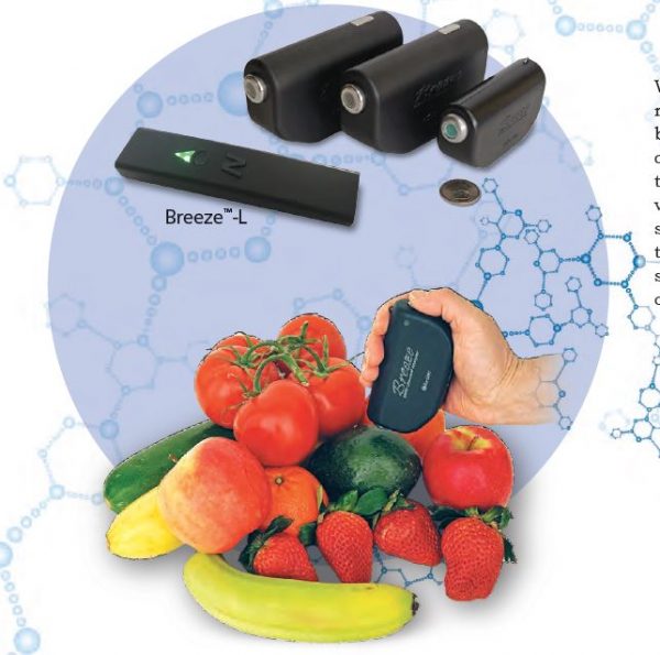 Bayspec Breeze Product