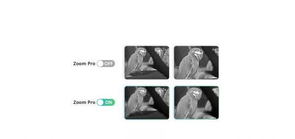Raptor Zoom Pro