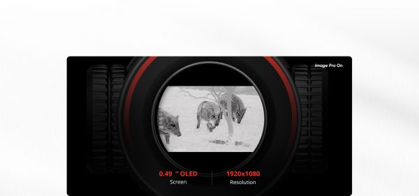 Stellar 2.0 0.49'' Large Oled