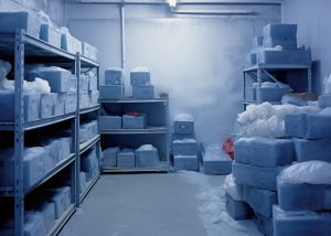 Cold Chain And Cold Storage