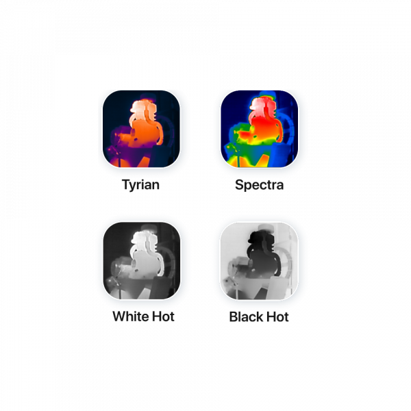 Color Palettes 960x960 5 1